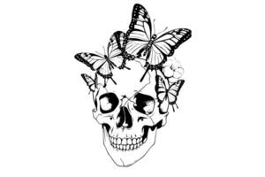Skull with butterfly hand drawn ink sketch. Engraved style illustration. vector