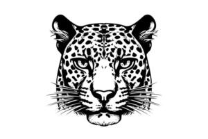 negro y blanco mano dibujado tinta bosquejo de leopardo cabeza o rostro. ilustración. vector