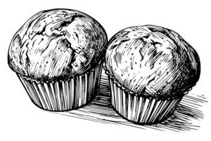 Cupcake hand drawn ink sketch. Engraved style retro illustration. vector