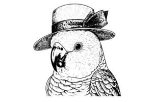 Parrot in a hat hand drawn ink sketch. Engraved style illustration. vector