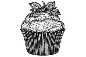 Cupcake hand drawn ink sketch. Engraved style retro illustration. vector