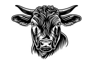 Clásico dibujado a mano bosquejo de un de vaca cabeza retro ilustración de lechería granja icono. vector