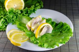 Herring filet closeup photo