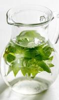 Water with fresh basil in the glass jug photo