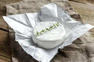 Camembert cheese wheel photo