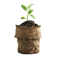 Generated AI plant in a bag fill with mud on transparent background png