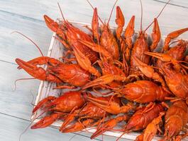 Tray with boiled crayfish photo