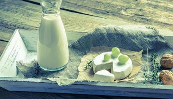 Camembert with pitcher of milk and whole nuts photo