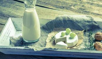 camembert con jarra de leche y nueces enteras foto