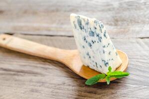 Blue cheese wedge photo