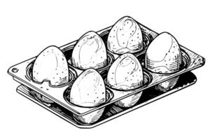 Box of eggs hand drawn ink sketch. Engraving style illustration. vector