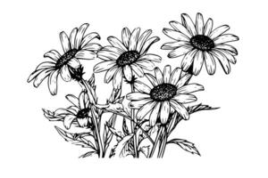 Clásico girasol bosquejo dibujado a mano flor ilustración en negro y blanco. vector