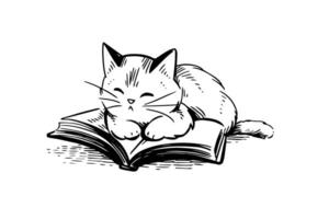 Cat read a book hand drawn ink sketch. Engraved illustration. vector