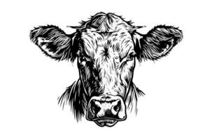 Clásico dibujado a mano bosquejo de un de vaca cabeza retro ilustración de lechería granja icono. vector