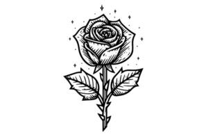 Elegant Rose. Vintage simple line art. Hand drawn ink sketch. Engraving illustration. vector