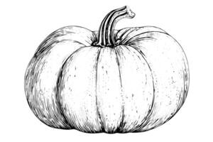 Vintage Pumpkin Sketch Hand-Drawn Halloween Illustration with Retro Flair. vector