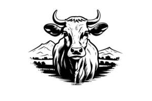 Cow logotype hand drawn ink sketch. Engraving style illustration. vector