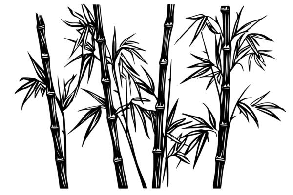 Hand drawn ink sketch of bamboo leaves and branches.