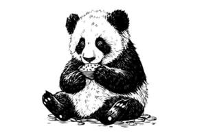 Panda hand drawn ink sketch. Engraved style illustration. vector