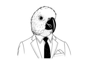 Parrot in tuxedo hand drawn ink sketch. Engraved style illustration. vector