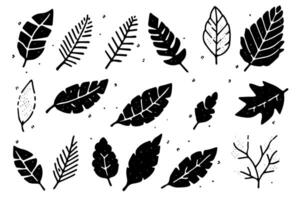 Set of lino cut stamp black leaves and branch imprints on white background. Hand drawn floral elements. vector