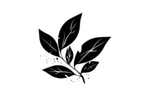 Hand-Drawn Leaf Illustration Various Tree Leaves Icon Logotype Design. vector