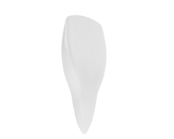 dente isolato su sfondo. 3d interpretazione - illustrazione png