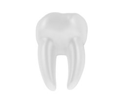 dente isolado em fundo. 3d Renderização - ilustração png