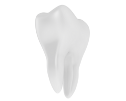 dente isolado em fundo. 3d Renderização - ilustração png