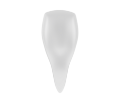 dente isolado em fundo. 3d Renderização - ilustração png