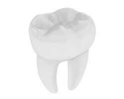 dente isolado em fundo. 3d Renderização - ilustração png