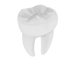 dente isolato su sfondo. 3d interpretazione - illustrazione png