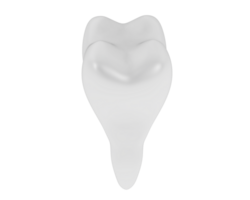 dente isolato su sfondo. 3d interpretazione - illustrazione png