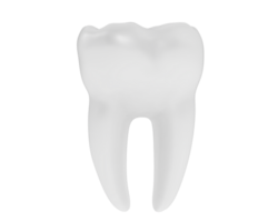 Tooth isolated on background. 3d rendering - illustration png