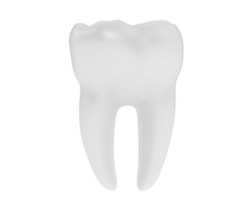 dente isolado em fundo. 3d Renderização - ilustração png