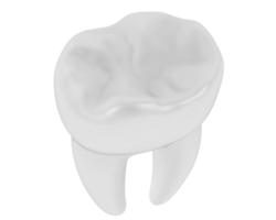 Tooth isolated on background. 3d rendering - illustration png