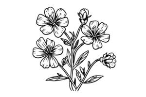salvaje flor mano dibujado tinta bosquejo. grabado retro estilo ilustración. vector