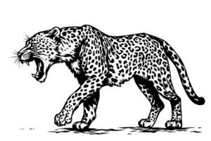 negro y blanco mano dibujado tinta bosquejo de leopardo camina. ilustración. vector