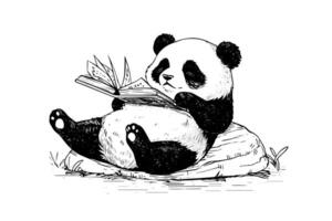 Panda reading a book hand drawn ink sketch. illustration. vector