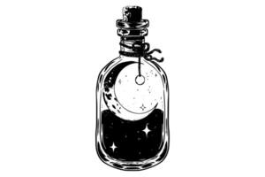 Magic bottle with potion hand drawn ink sketch. Engraved style illustration. vector