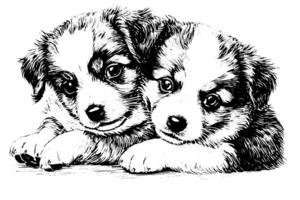 Cute puppy hand drawn ink sketch. Dog in engraving style illustration. vector