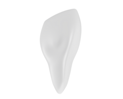 dente isolado em fundo. 3d Renderização - ilustração png