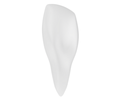 dente isolado em fundo. 3d Renderização - ilustração png