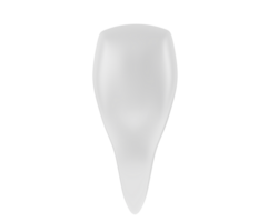 dente isolado em fundo. 3d Renderização - ilustração png