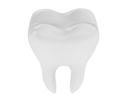 dente isolado em fundo. 3d Renderização - ilustração png