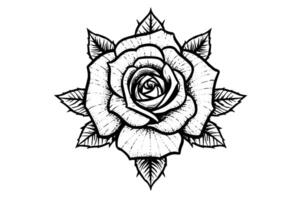 elegante Rosa. Clásico sencillo línea Arte. mano dibujado tinta bosquejo. grabado ilustración. vector