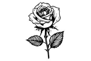 Rosa flor mano dibujado tinta bosquejo. grabado estilo ilustración. vector
