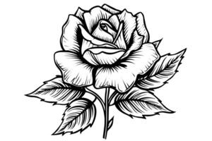 Vintage Woodcut Rose Engraved Floral Tattoo Line Art Print Illustration. vector