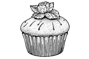 Cupcake hand drawn ink sketch. Engraved style retro illustration. vector