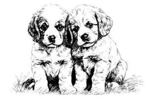 Cute puppy hand drawn ink sketch. Dog in engraving style illustration. vector